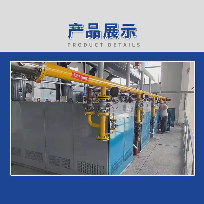 蒸汽发生器 电1吨燃生物质蒸汽发生器燃气蒸汽锅炉蒸汽锅炉蒸发器