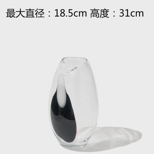插花色玻璃花瓶ins风轻奢高级感透明黑白水养创意水培客厅餐桌摆