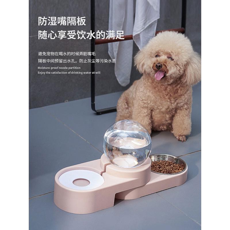 猫咪饮水机宠物自动喝水器一体不湿嘴猫水盆狗狗喂水喂食狗