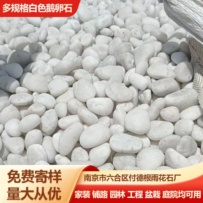 精抛批发园林景观工程铺路抛光雨花石白色石子原产地白色鹅卵石