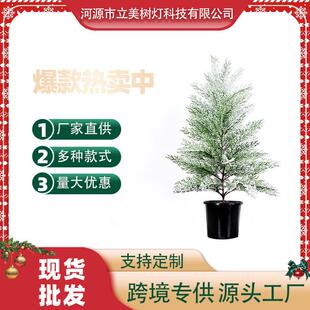 卧室私生活北欧ins风南洋杉圣诞树新年限定客厅植物氛围落地绿植