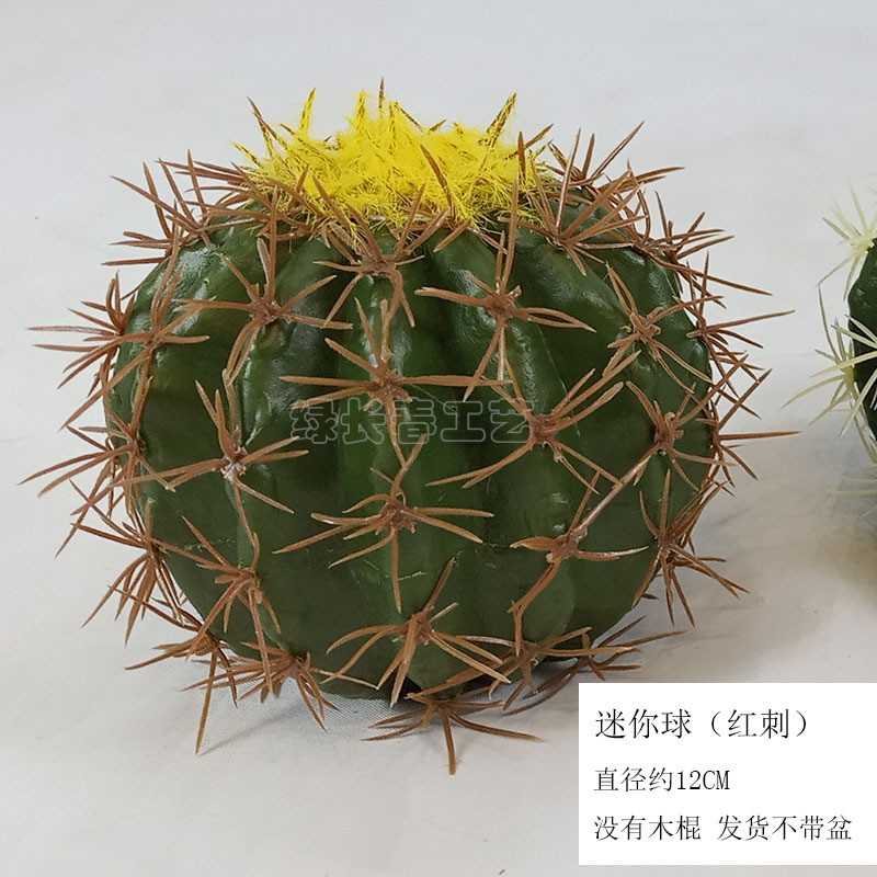 绿长春仿真仙人球假仙人球盆景多肉植物拍摄道具家居商场橱窗装饰