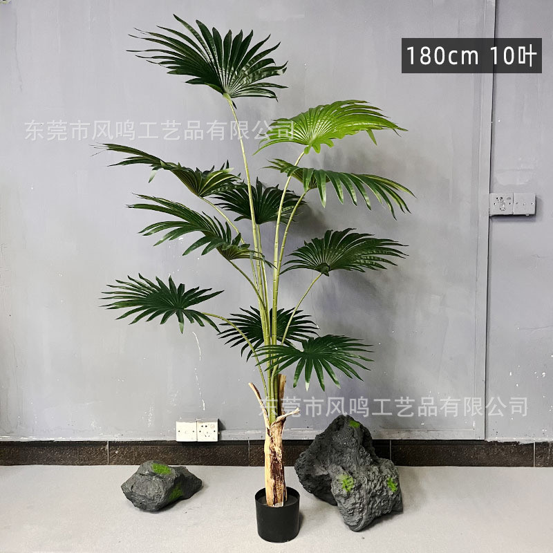 热带大型仿真绿植加州蒲葵落地盆栽客厅装饰摆件棕葵假树盆景植物