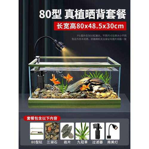溪流缸超白缸客厅小型原生家用全套造景观赏玻璃桌面新款生态鱼缸