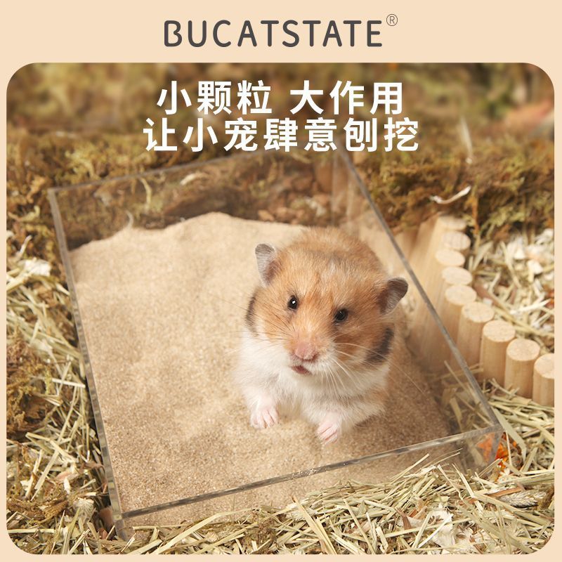 北非硅砂仓鼠尿砂厕所砂洗澡沙金丝熊团去油除臭结浴室用品