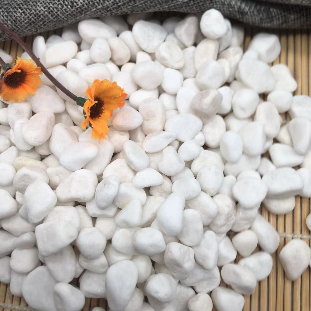 白色碎石庭院铺路白色造景石石园艺水洗多肉盆栽白色鹅卵石