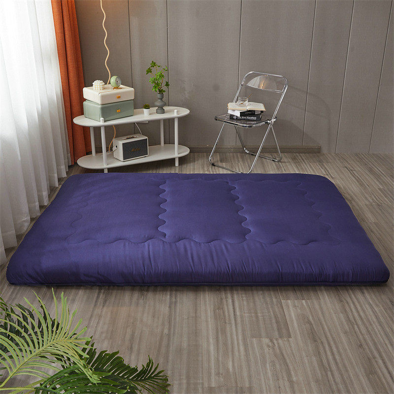 懒人榻榻米床垫铺底冬季地上睡觉地垫家用软垫加厚睡垫卧室打地铺