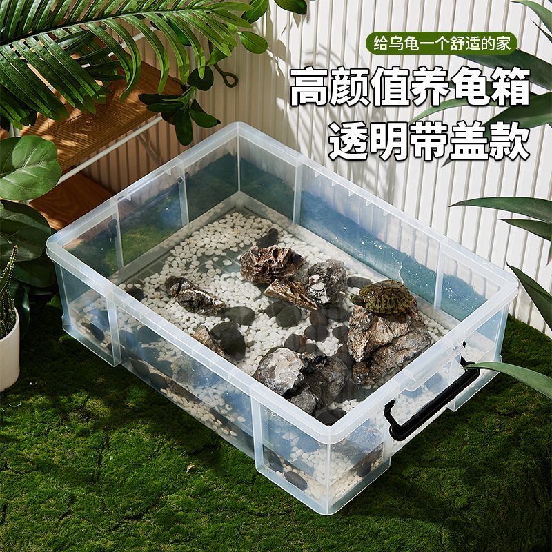 乌龟周转箱饲养缸大号带盖生态造景塑料透明乌龟缸鱼缸家用水族箱