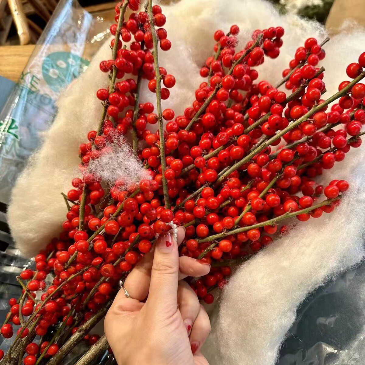 北美冬青鲜切花年宵花昆插花地直批耐寒瓶明基