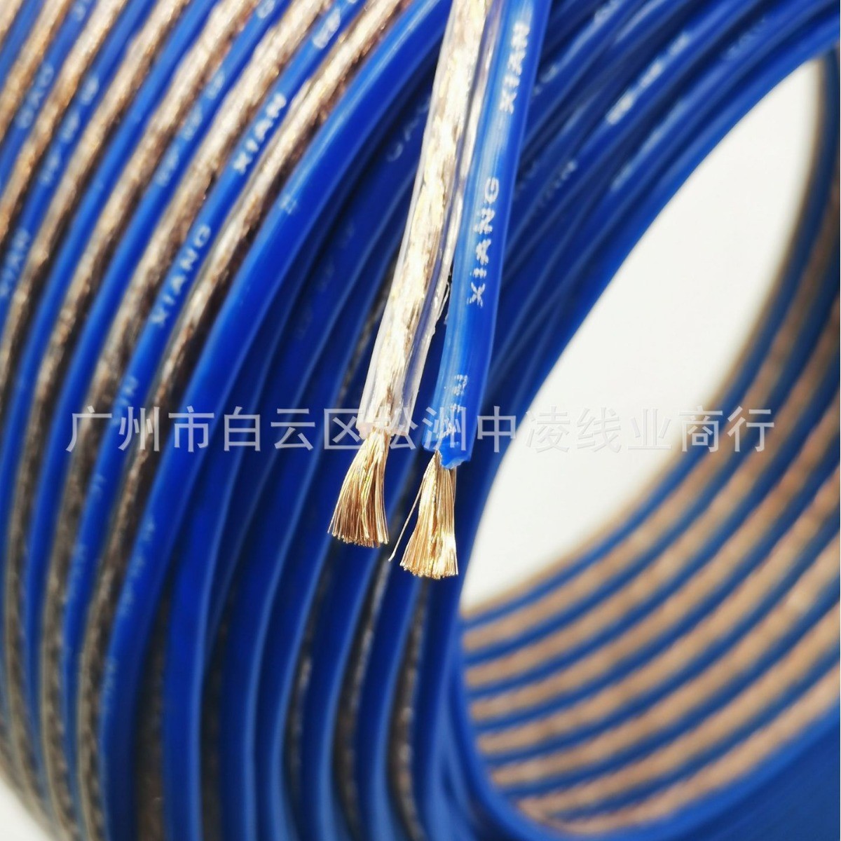 500芯透明蓝边音响线汽车音响线500型透明喇叭音频线音箱连接线材