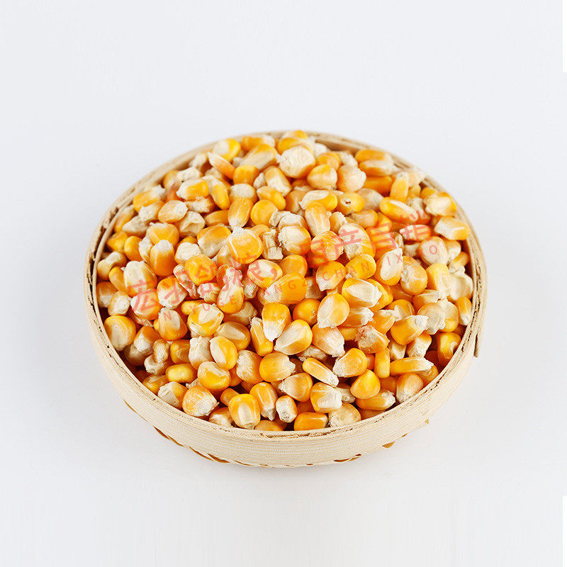 鸽子玉米鸽粮/玉米饲料/鸽专用玉米小金黄/50斤包邮