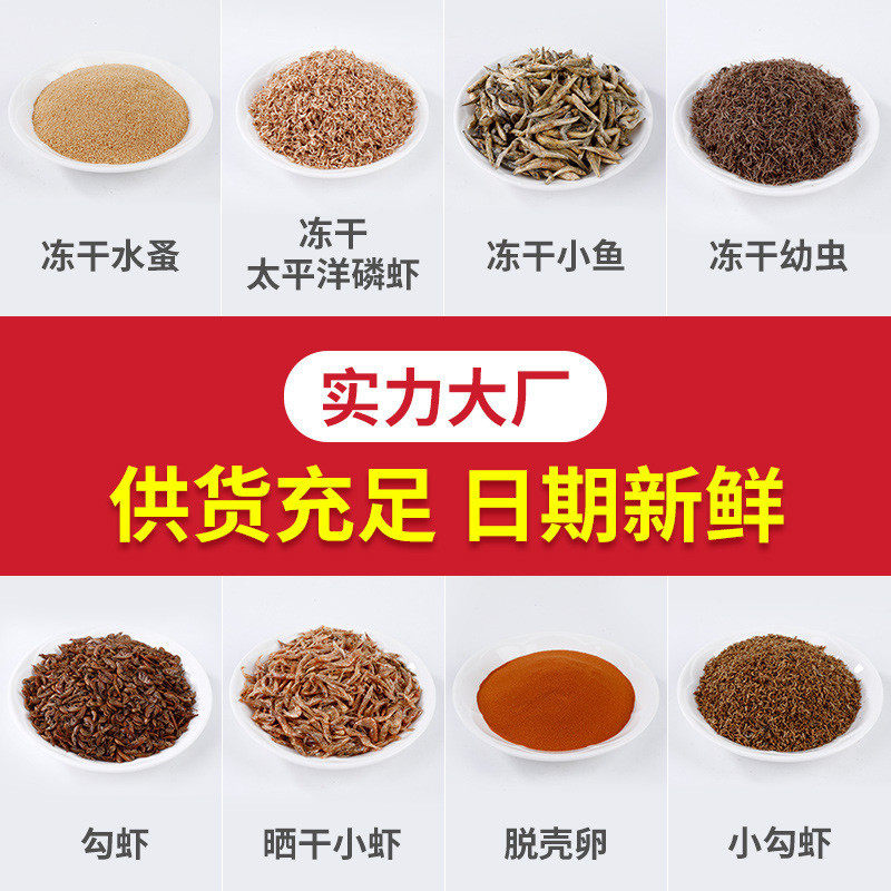 批发面包黄粉虫干龟粮仓鼠饲料虫干鱼食鱼饲料1斤装宠物饲料,宠物/宠物食品及用品,观赏鱼饲料,淘宝优惠券,粉丝福利购,淘宝优惠卷