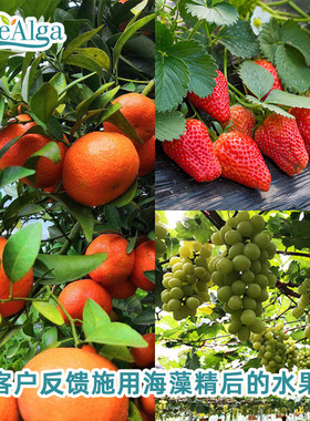 厂家直供海藻精25%含量海藻酸1kg起批海藻提取物绿色有机海藻