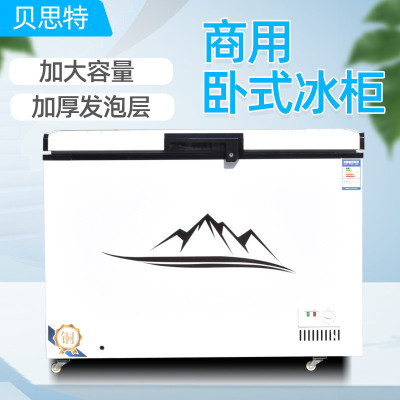 商用卧式冰柜大容量铁管铜管冷藏冷冻双温家用雪糕柜冷冻柜卧柜