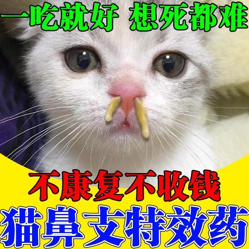 猫鼻支特效药猫咪打喷嚏流黄鼻涕流泪眼睛发炎流脓红肿专用眼药水