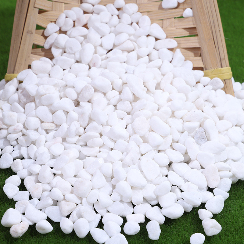 雪花白多肉盆栽铺面白色机制鹅卵石鱼缸造景铺路工程装饰小石子