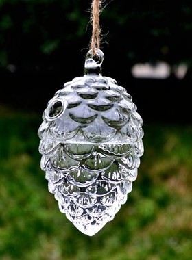 创意悬挂垂吊透明水培玻璃工艺品松果花瓶蜂鸟喂食器插花装饰花器