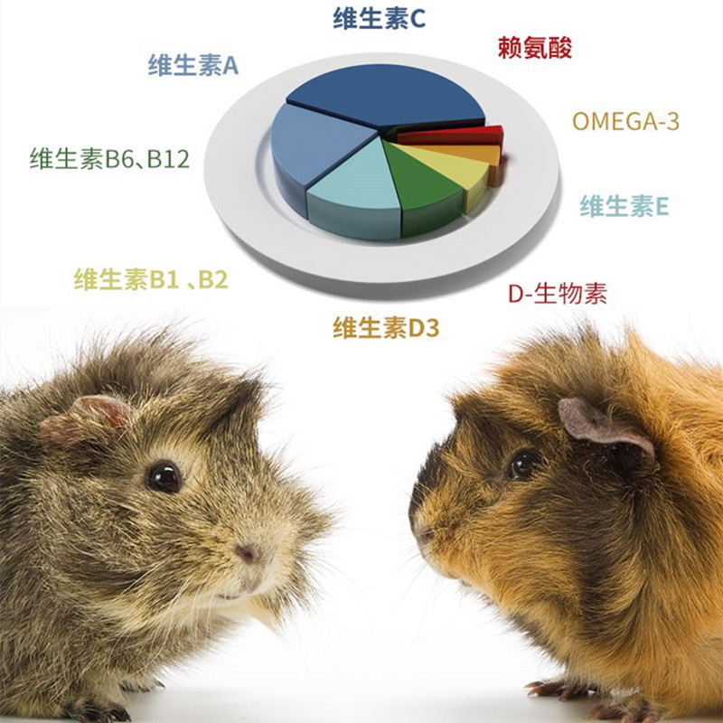 碧甜高纤维低淀粉草本豚鼠粮荷兰猪富含公斤天然花草1.5维c