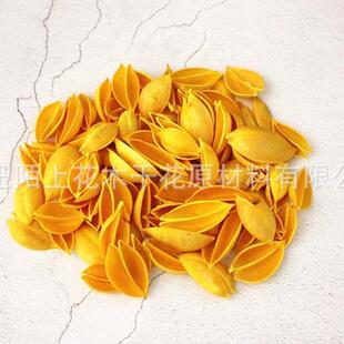 小桐果壳天然干花原材料木莲花梧梧桐泡桐果手工拈花材料批发