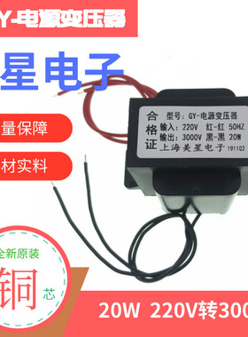 定制高压升压变压器 220V转1200V 2200V 2500V 3000V小功率10W20W