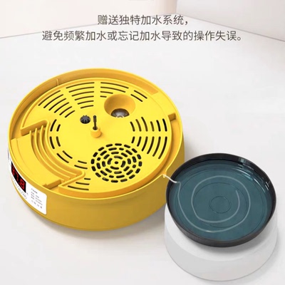 可孵化鸡蛋鸭蛋芦丁鸡种蛋小鸡柯尔鸭小黄鸭受精种蛋全自动孵化器