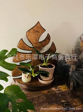 新款木制壁挂竹架植物龟背室内盆栽壁挂墙壁装饰