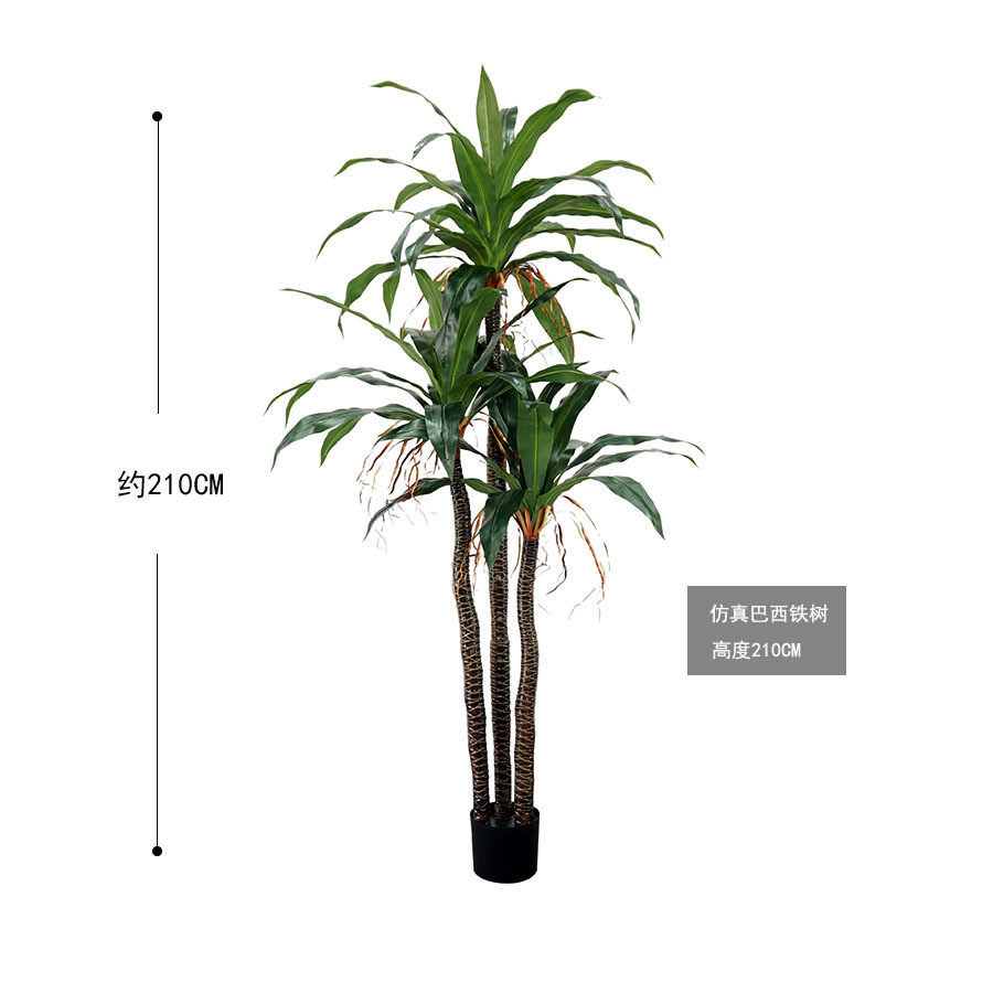 仿真铁树绿植酒店客厅室内大型落地植物装饰花草盆栽巴西铁盆景