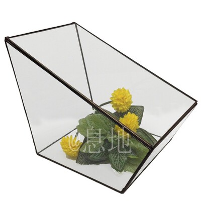 16026a包邮!几何微景观玻璃花房摆件多肉植物玻璃小花房