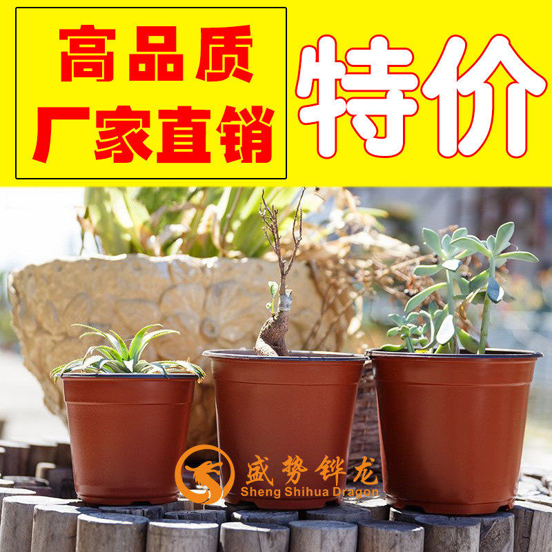 双色花盆不坏pp材质摔优质塑料种植育苗花盆厂家直销