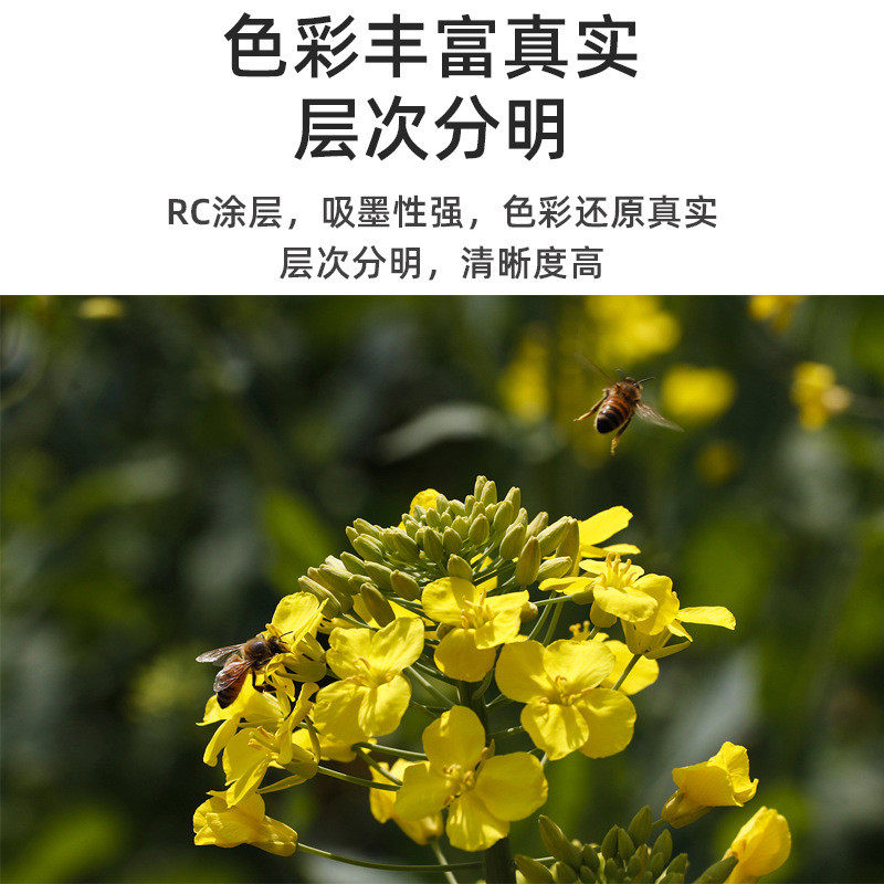 颖源rc防水相纸高光绒面影楼后期喷绘写真广告设计婚纱照片纸卷装