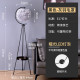 羽毛落地灯卧室公主客厅装 设计师艺术氛围北欧 饰台灯轻奢网红意式