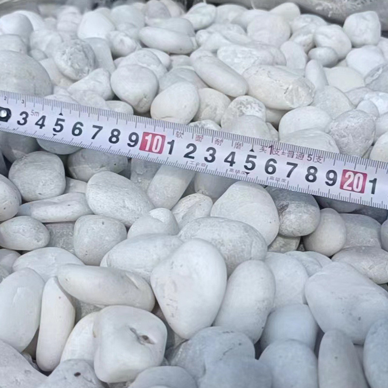 白色抛白色鹅卵石园林景观工程铺路抛光雨花石精石子原产地批发