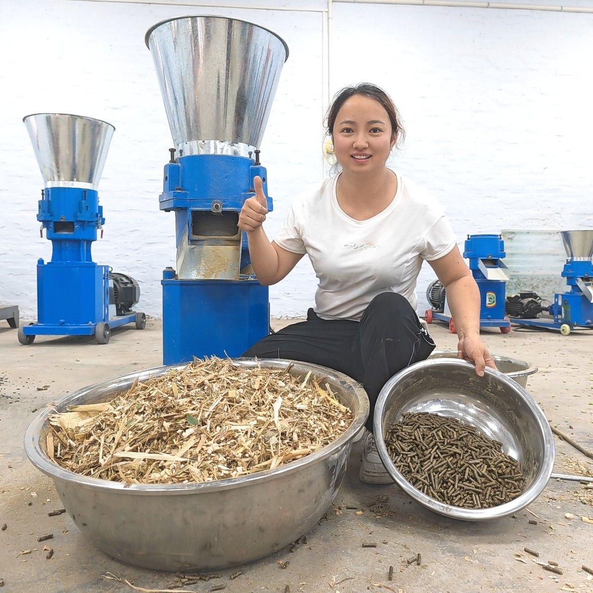 饲料颗粒机牛羊鸡鸭猪兔颗粒饲料机家用秸秆造粒机饲料机械