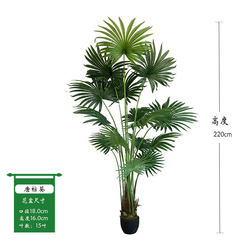 假植唐棕葵仿真蒲葵棕榈北欧风物室内客厅落地造景装饰盆栽摆件