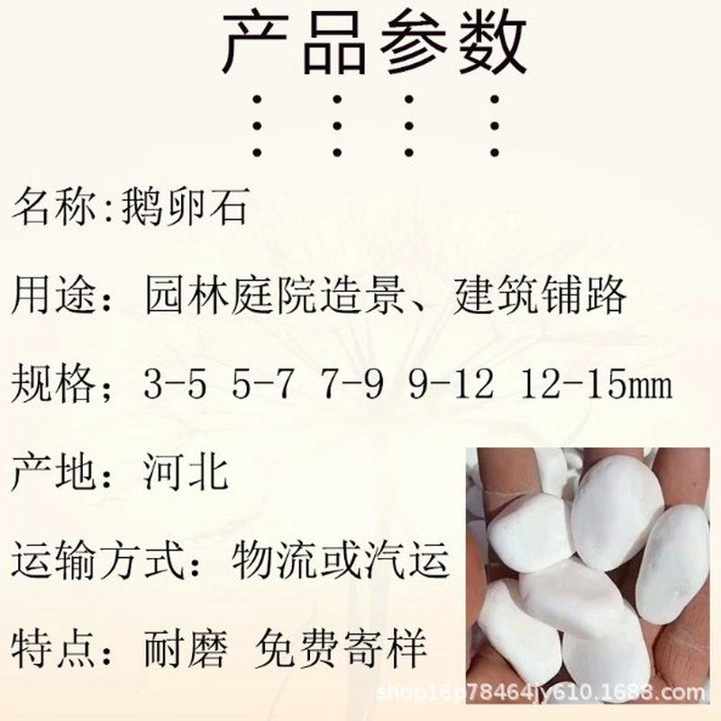 鹅卵石厂家多肉铺面建筑装修用庭院造景垫底鱼缸石批发白色石子
