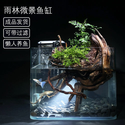 【杜鹃根】方缸小型直景观盆景趣味植物鱼缸桌面摆件厂家假山售