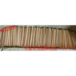 12cm14.5cm平菇接种枝条杨木枝条食用菌枝条菌种木条木签菌条长