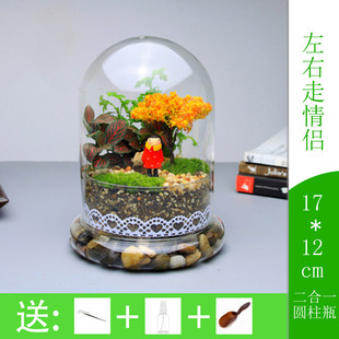 苔藓微景观创意礼品摆件苔藓瓶生态瓶二合一圆柱左右走情侣