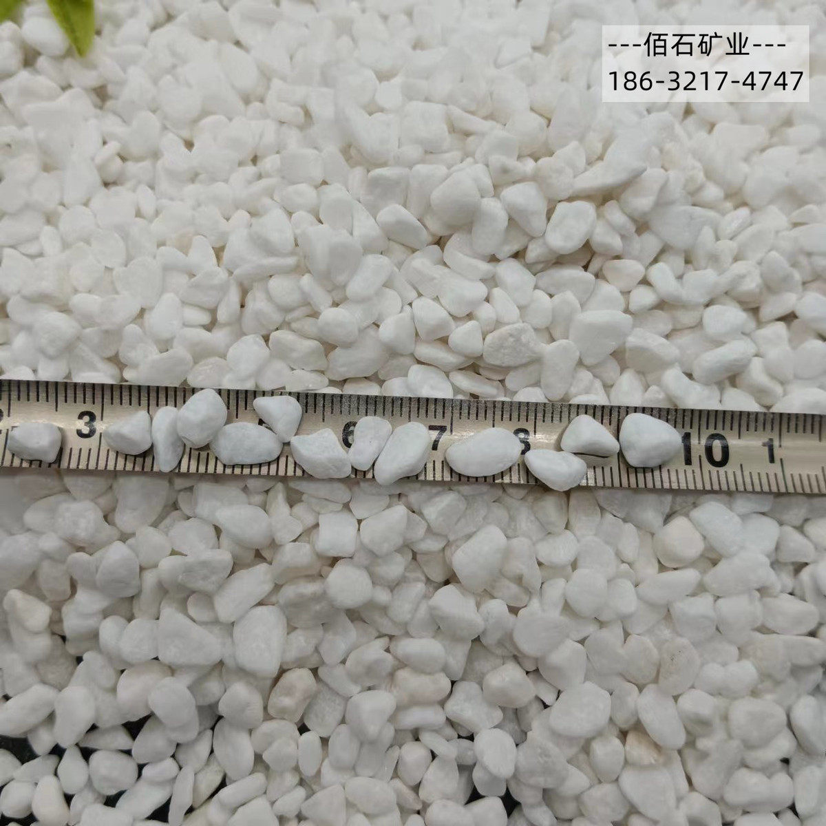 白石子批发白色鹅卵石日式枯山水造景园林装饰庭院水磨石子