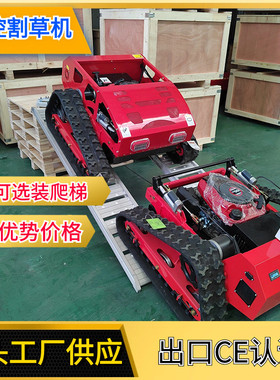 山东遥控割草机厂家lawnmower动碎草机油电混园林家用割草机