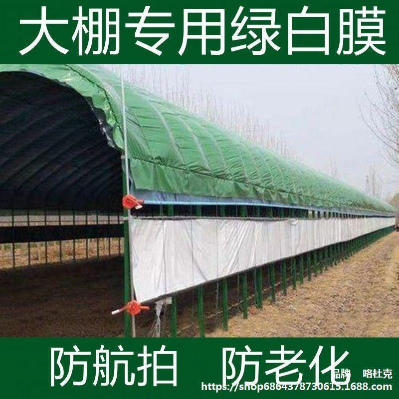 大棚膜大棚绿白膜加厚隔热膜养殖绿色塑料膜保温防晒食用菌垒德株
