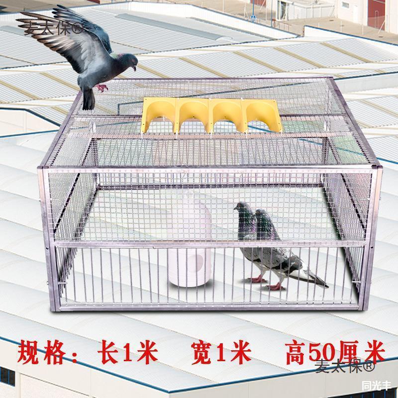捕鸽神器收抓鸽子笼自动天落户外加粗围网逮信赛鸽笼逮鸽麦太保