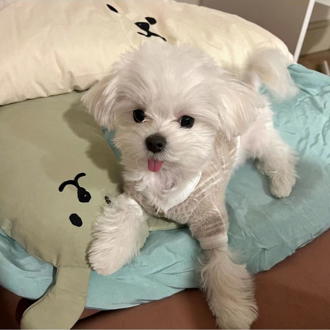 现货ins夏季新款宠物凉天丝睡袋推车垫子窝感冰丝冰爽垫子空调被