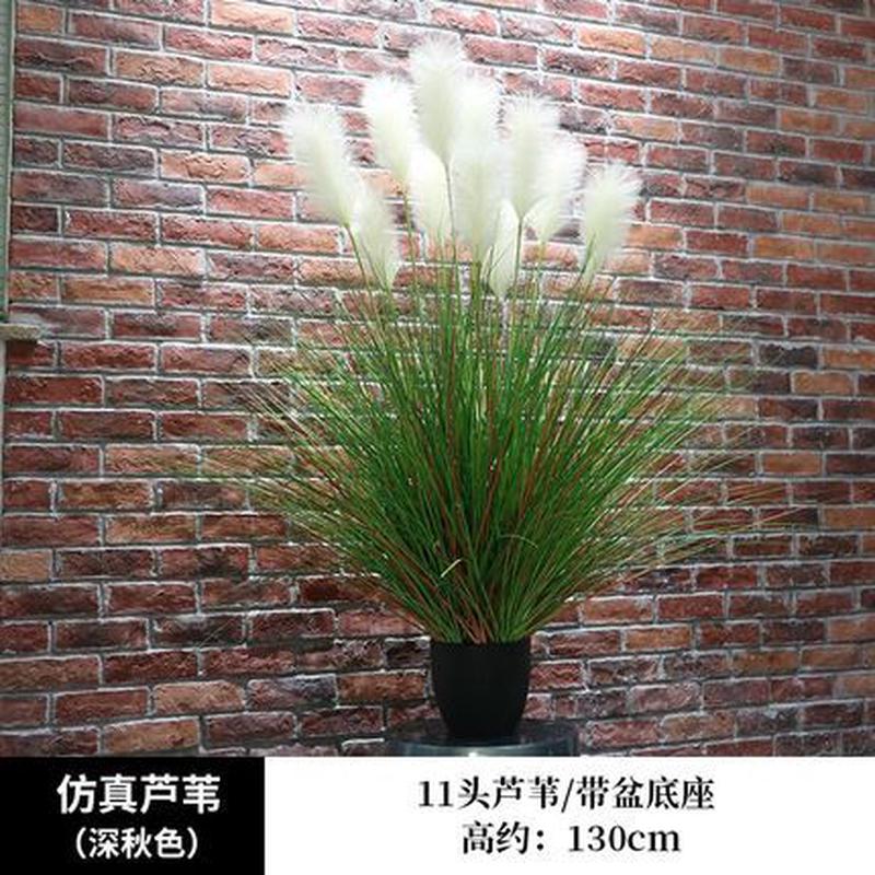 芦苇盆景落地绿植北欧家居摆件室内道具水草装饰景观套装