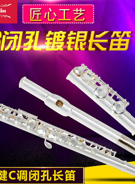 初学演奏级长笛16孔E键闭孔长笛镀银长笛西洋管乐器乐器笛子