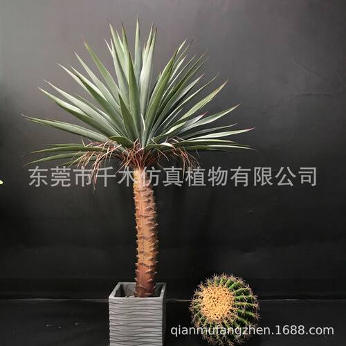 仿真剑兰ins风植物盆栽落地多杆绿植龙舌兰家居软装摆件北欧剑麻