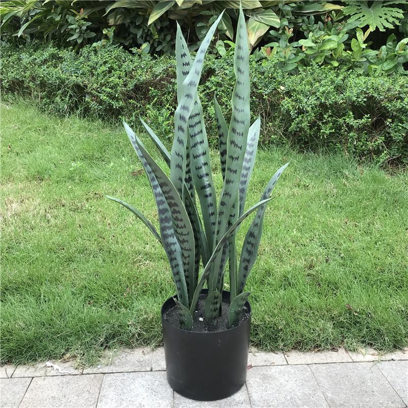 厂家直销北欧ins风仿真芦苇仙人掌仙巴掌家居装饰过胶假叶虎尾兰