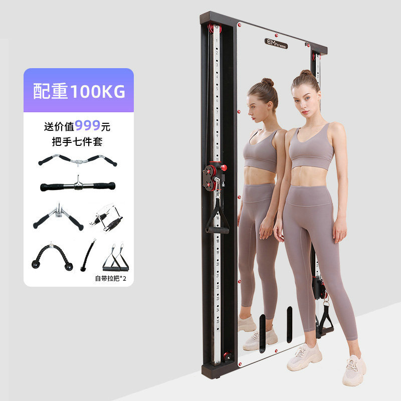 家用多功能靠墙飞鸟室内镜面墙体飞鸟健身架单边贴墙小飞鸟龙门架