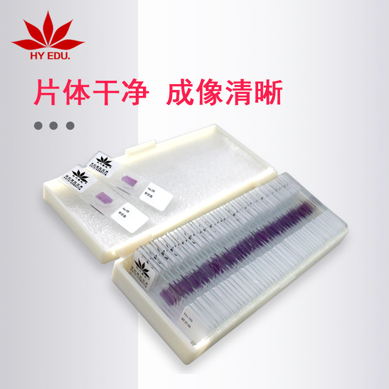 结构清晰片染片病理切片50片套装病理组织病理50种切片套装