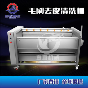 热销厂家直供河蚌清洗机蚬清洗机全自动黄沙蚬河毛辊喷淋清洗机